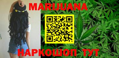амф Новозыбков
