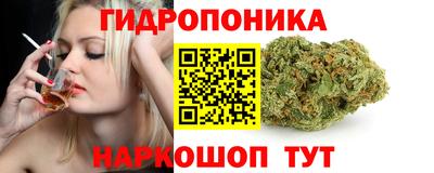амф Новозыбков