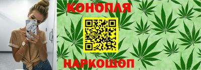 амф Новозыбков