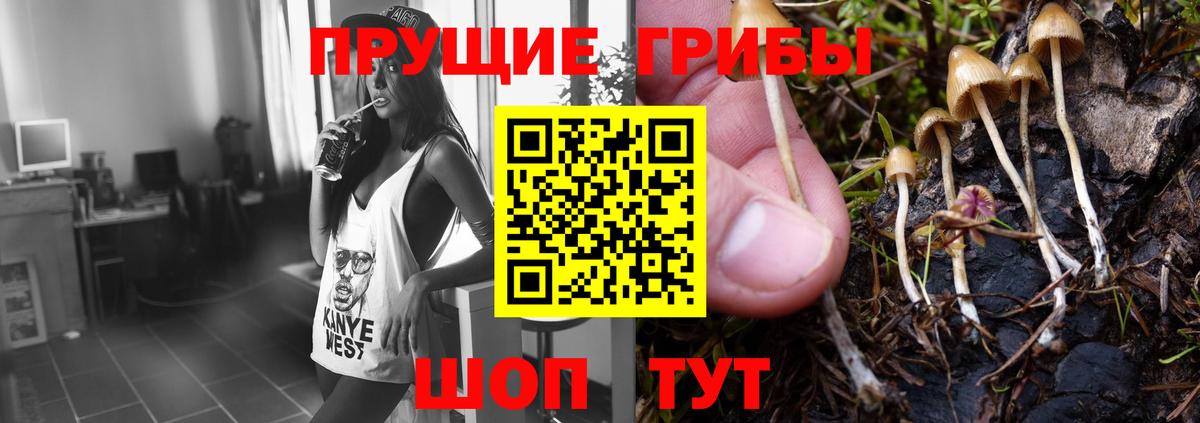 Галлюциногенные грибы мухоморы Томск